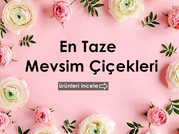 Çiçek Mağazamız - Online Çiçek Gönder , Çiçek Gönder , Çiçek 